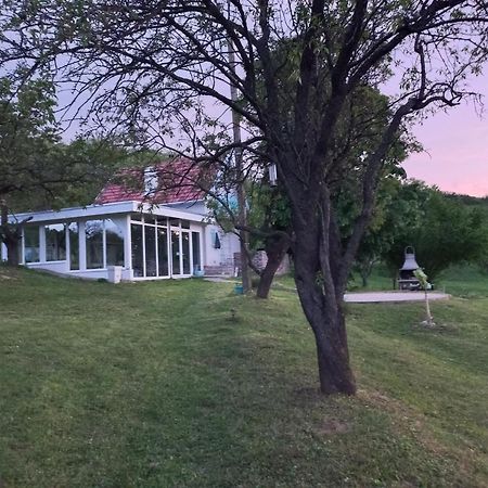 Honey Hill Apartment Fruska Gora Cerevic Dış mekan fotoğraf