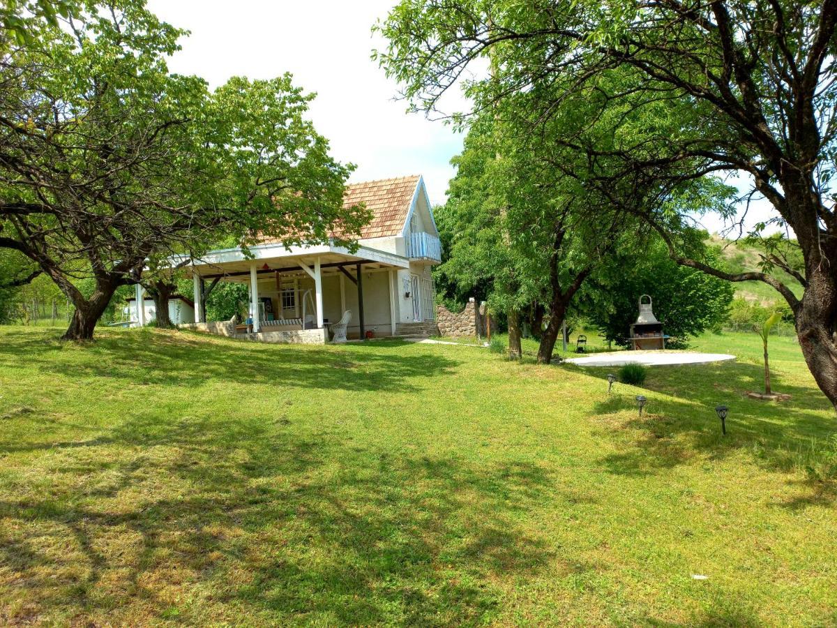 Honey Hill Apartment Fruska Gora Cerevic Dış mekan fotoğraf