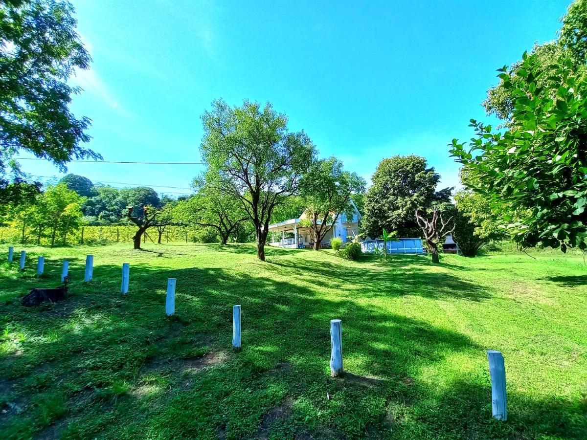 Honey Hill Apartment Fruska Gora Cerevic Dış mekan fotoğraf