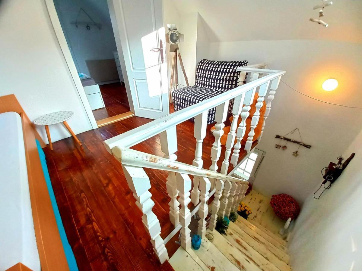 Honey Hill Apartment Fruska Gora Cerevic Dış mekan fotoğraf