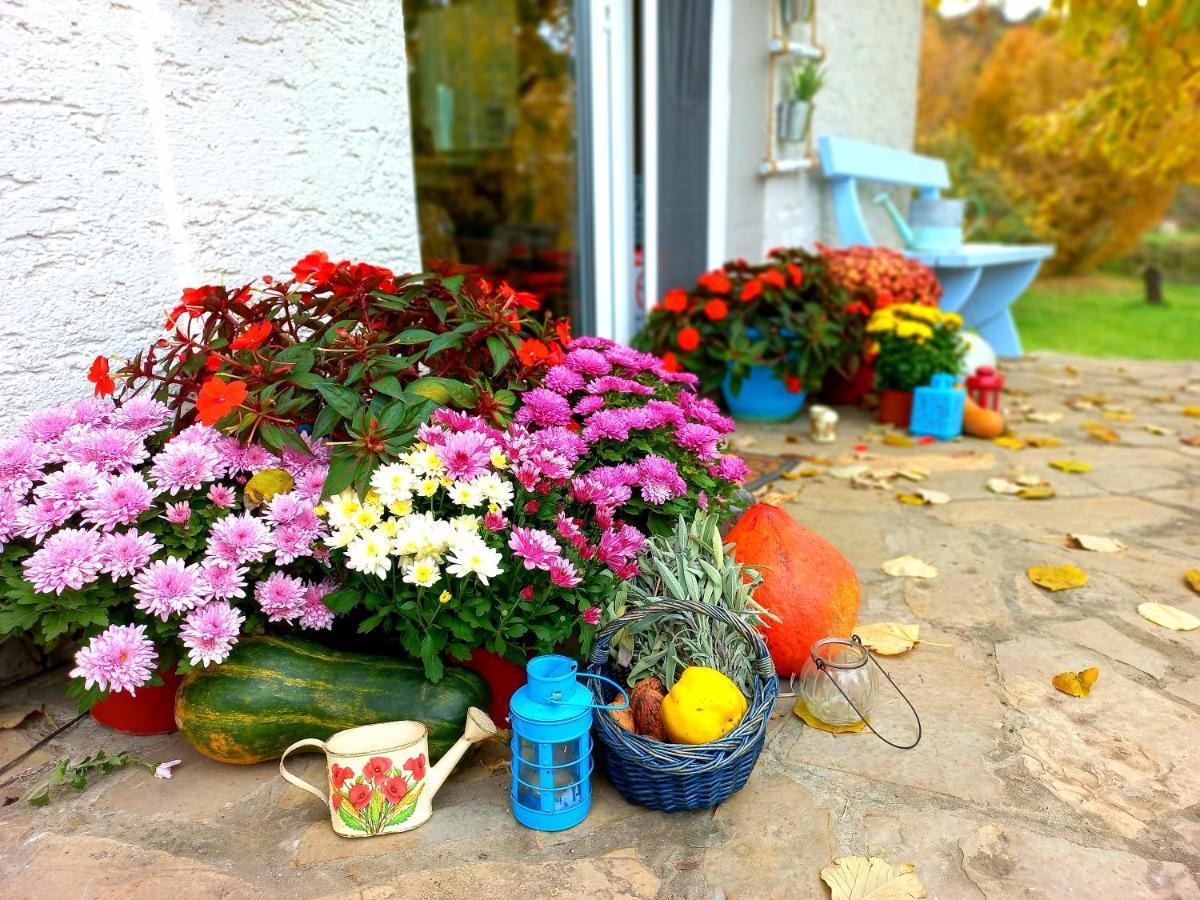 Honey Hill Apartment Fruska Gora Cerevic Dış mekan fotoğraf