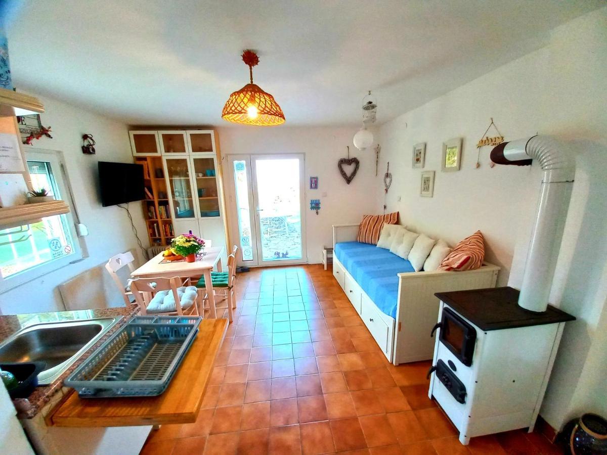 Honey Hill Apartment Fruska Gora Cerevic Dış mekan fotoğraf
